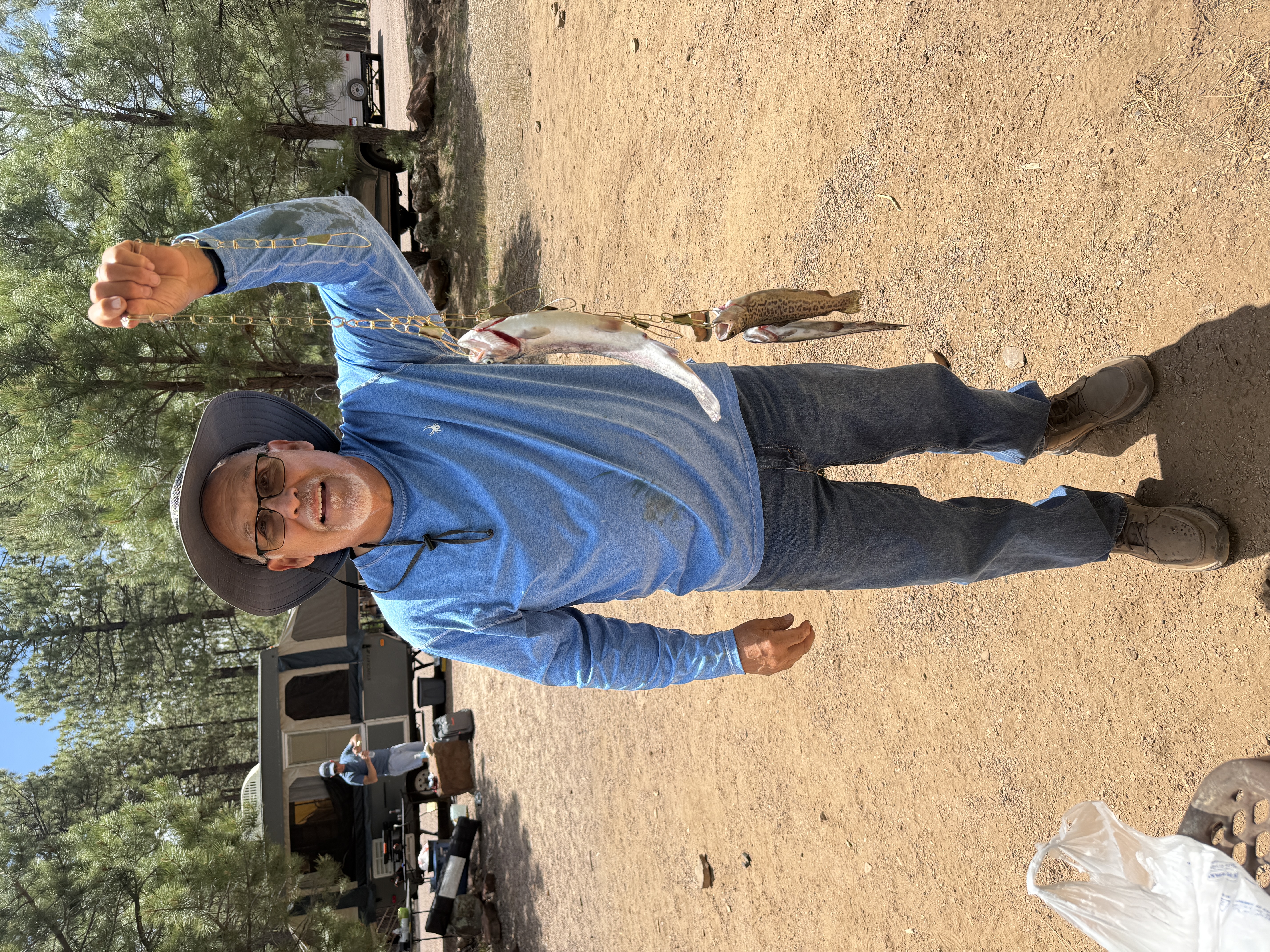 Payson camping